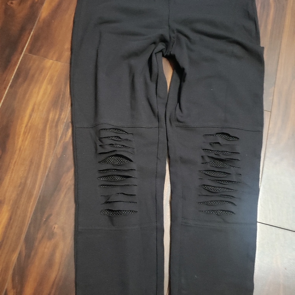 HUE, Brand new black Leggings